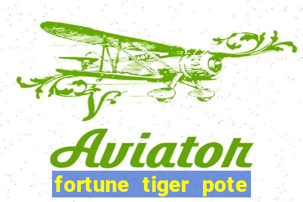 fortune tiger pote de ouro